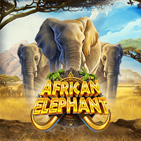 Play African Elephant Slot by Pragmatic Play